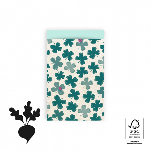Pochettes cadeaux - Luck - Mint - 12 x 19 cm